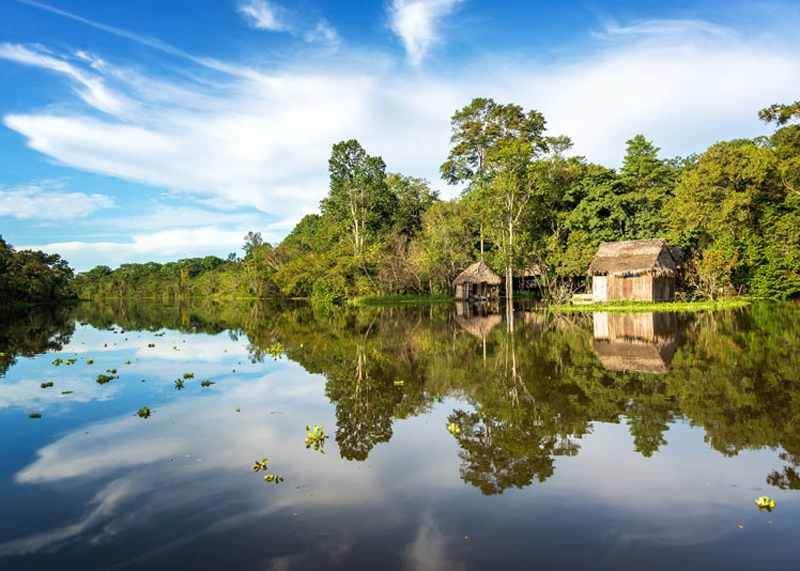 amazonia-11