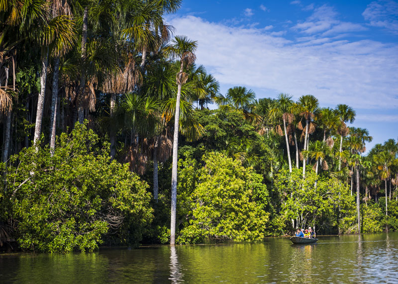 amazonia-6
